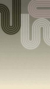 Wollongong Art Prize